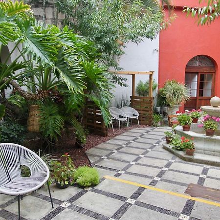 Hotel Trebol Oaxaca Dış mekan fotoğraf