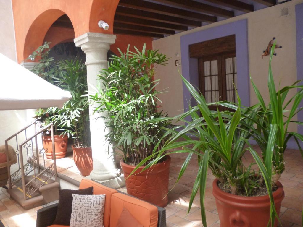 Hotel Trebol Oaxaca Oda fotoğraf